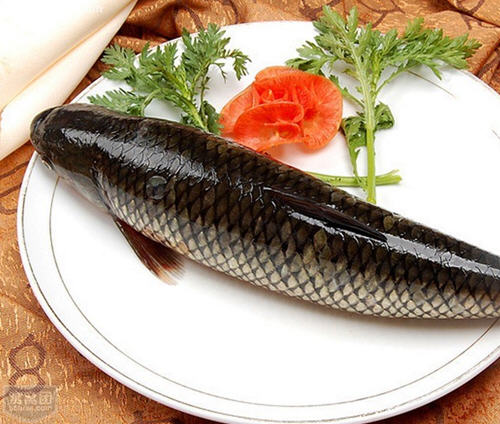 草鱼的功效与作用，草鱼的选购技巧        菜谱宝
