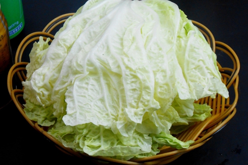 选购和食用白菜的宜禁     菜谱宝