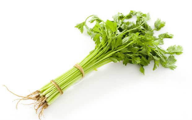 芹菜选购技巧    菜谱宝