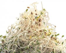 豆芽的选购方法