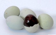 如何选购松花蛋