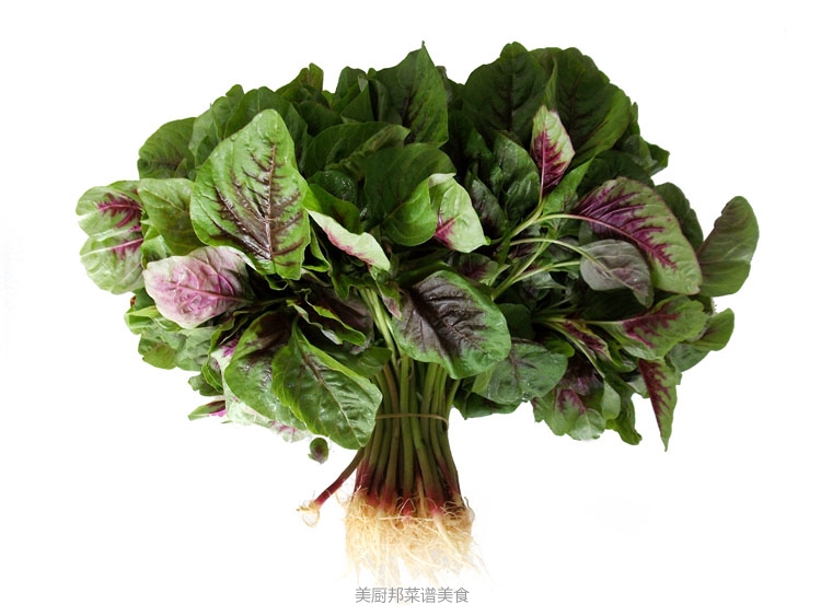 苋菜的选购技巧 菜谱宝