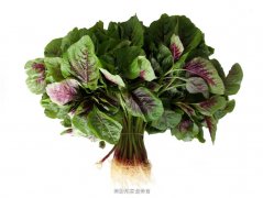 苋菜的选购技巧