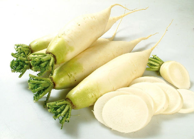 白萝卜选购技巧     菜谱宝