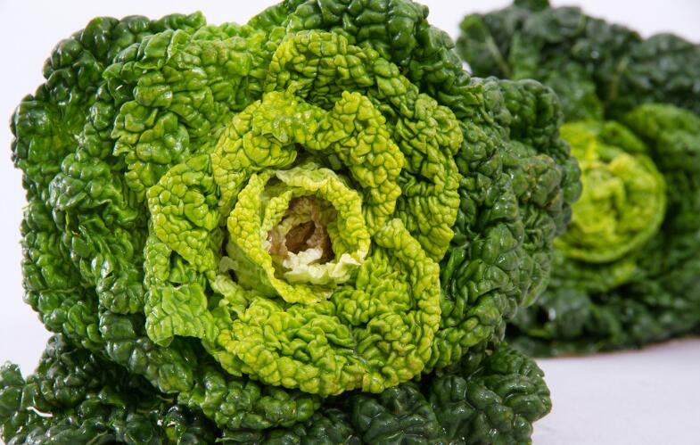 乌菜怎么做选购 乌菜的简介 菜谱宝