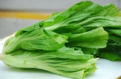 绿叶菜的选购技巧
