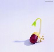 如何选购健康豆芽