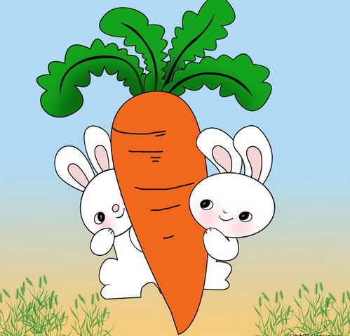 萝卜的选购技巧 菜谱宝