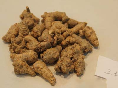 如何选购三七 菜谱宝