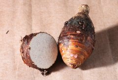 芋头的选购技巧