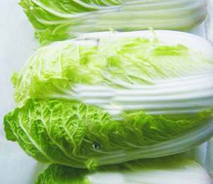 如何正确选购大白菜 菜谱宝