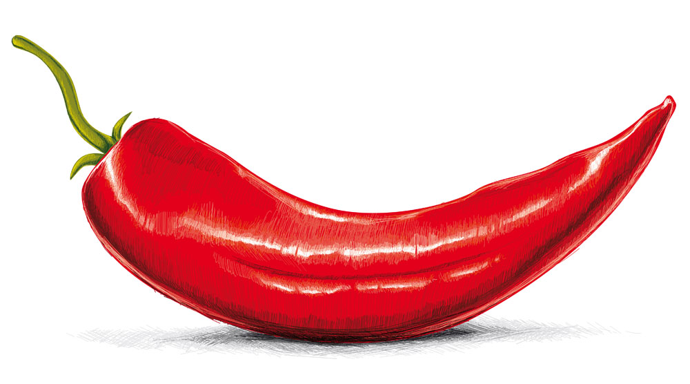 辣椒的选购方法 菜谱宝