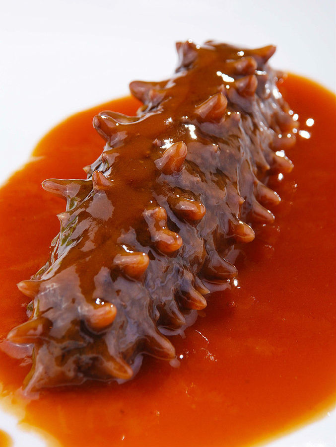 如何选购泡发海参 菜谱宝