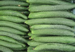 黄瓜的选购技巧