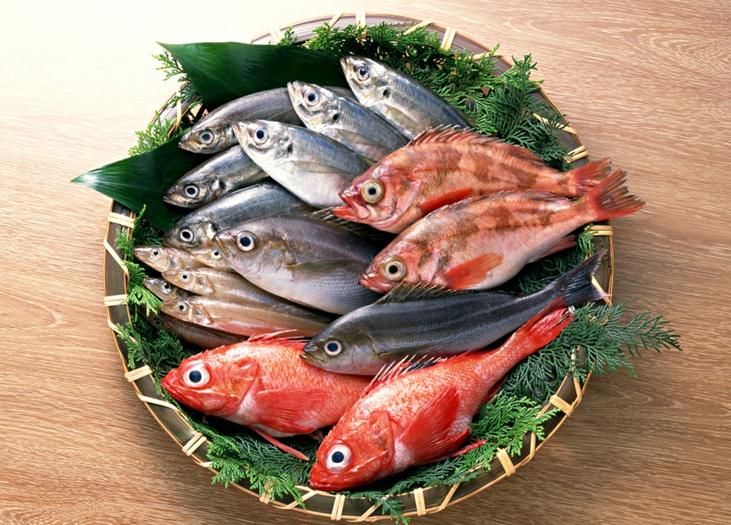 鲜鱼选购小窍门 菜谱宝