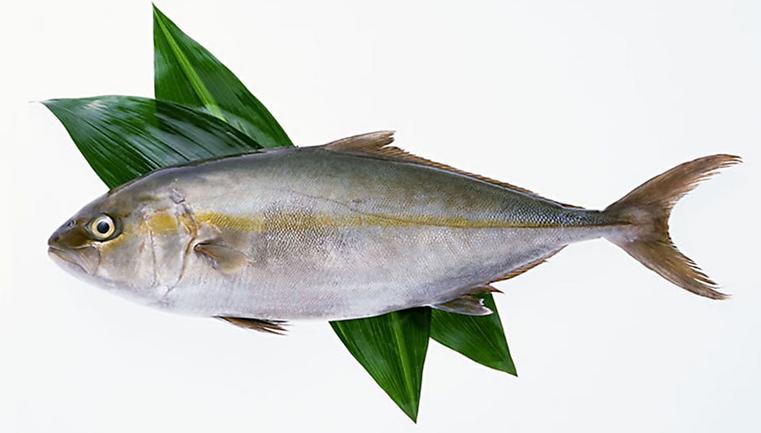 鲜鱼选购小窍门