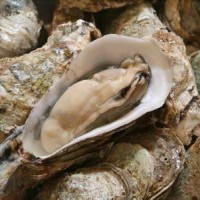 【小F私房】烤箱版烤生蚝的做法图解1