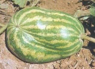 QQ截图20180202155135.png QQ截图20180202155135.png