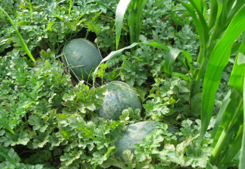 QQ截图20180202171457.png QQ截图20180202171457.png