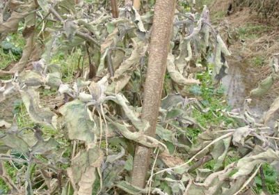 QQ截图20180202174009.png QQ截图20180202174009.png