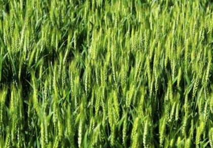 QQ截图20180131155557.png QQ截图20180131155557.png