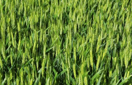 QQ截图20180131155611.png QQ截图20180131155611.png