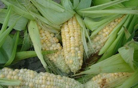 QQ截图20180130164753.png QQ截图20180130164753.png