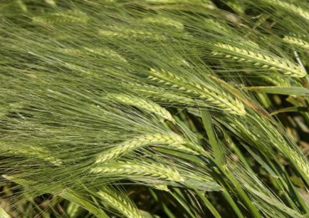 QQ截图20180131154840.png QQ截图20180131154840.png