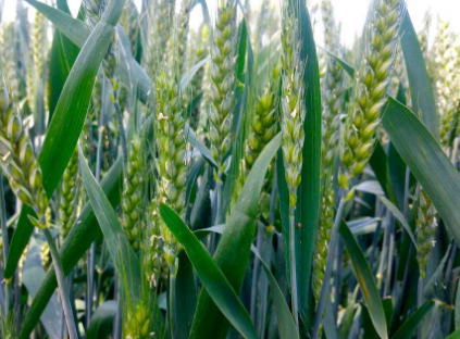 QQ截图20180131154830.png QQ截图20180131154830.png