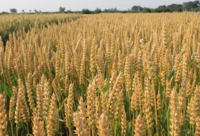 QQ截图20180129165603.png QQ截图20180129165603.png