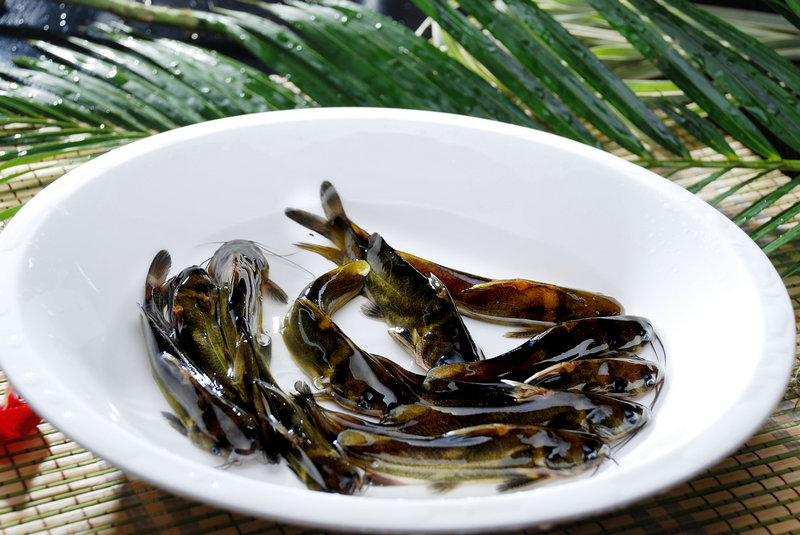 嘉士利饼干 嘉士利饼干质量好吗 嘉士利饼干 嘉士利饼干质量好吗