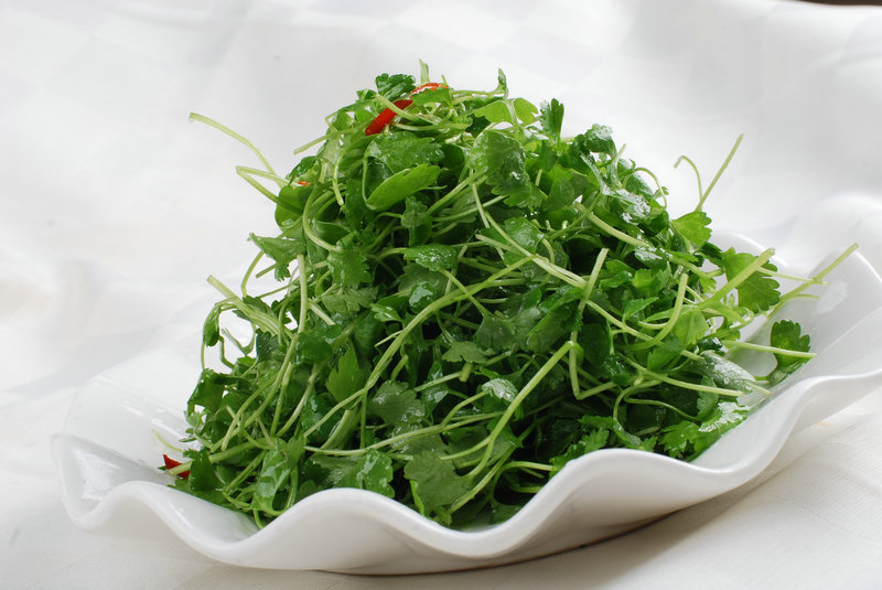 蛋糕烘焙证书蛋糕证书需要多少钱