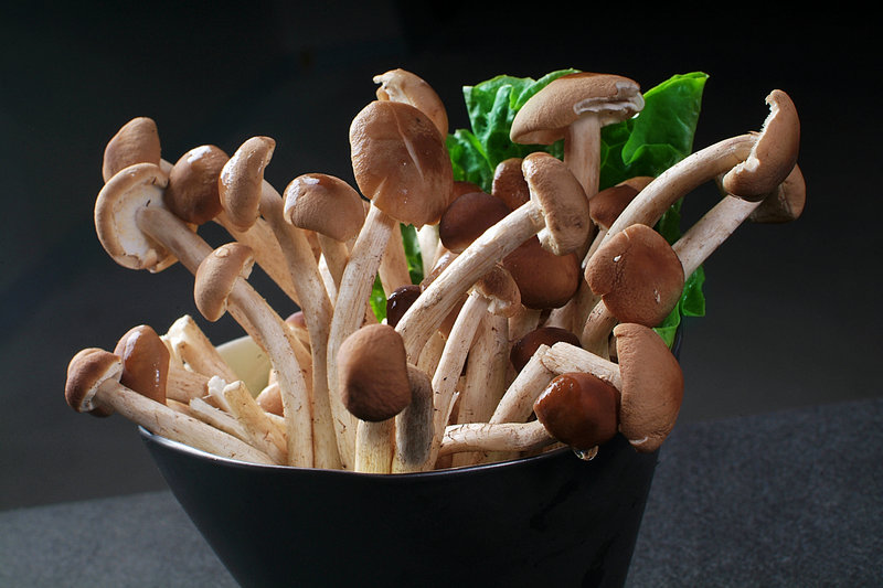 60老人女生日蛋糕 60多岁老人生日蛋糕