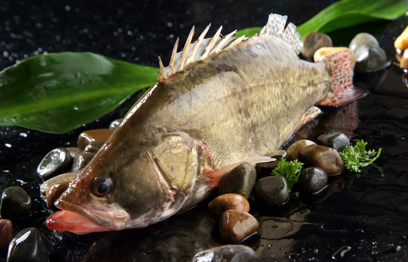 都市咖啡烘焙_咖啡城市烘焙是什么意思