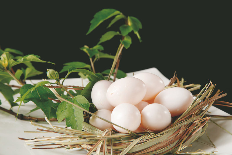 冬瓜海参汤的做法 海参冬瓜汤的营养是什