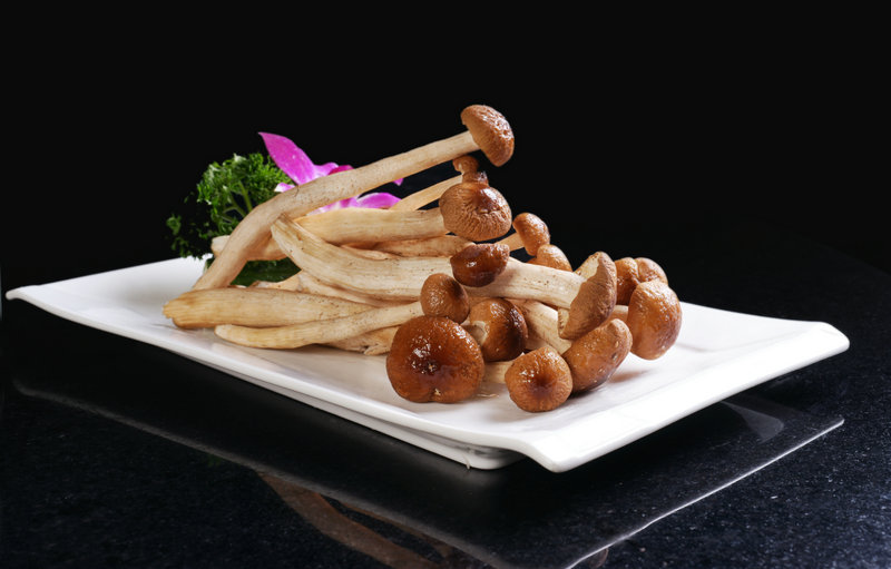 广东木瓜煲汤食谱大全