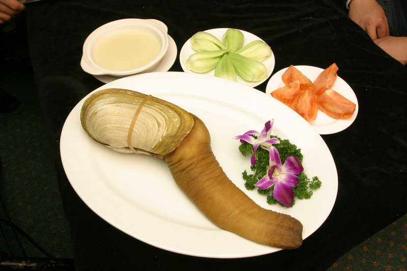 冰糖雪梨要削皮吗(冰糖雪梨梨子要削皮吗