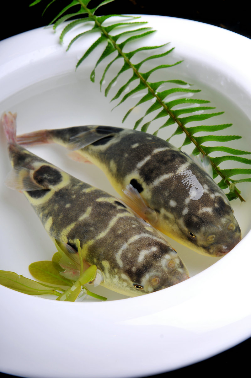 万茜是谁老婆(万茜是谁老婆照片)