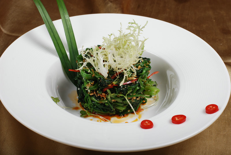 飞利浦是哪国的 请问飞利浦是哪个国家的