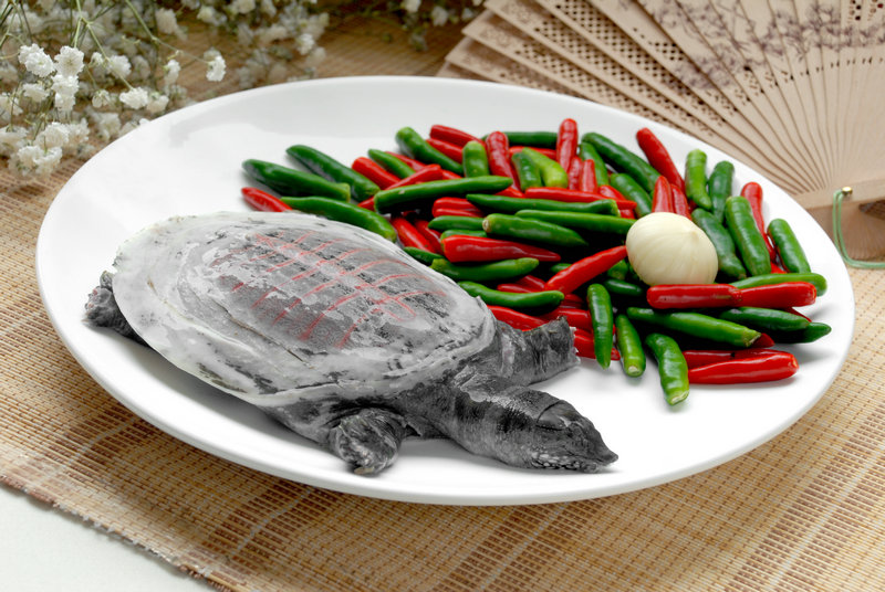 炒荷兰豆用不用焯水(炒荷兰豆用不用焯水