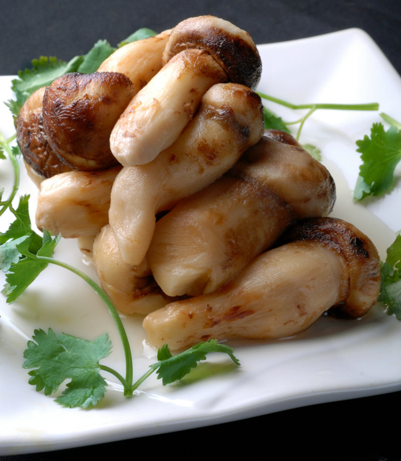 牛肉夹饼多少钱(烧饼夹牛肉多少钱一个)