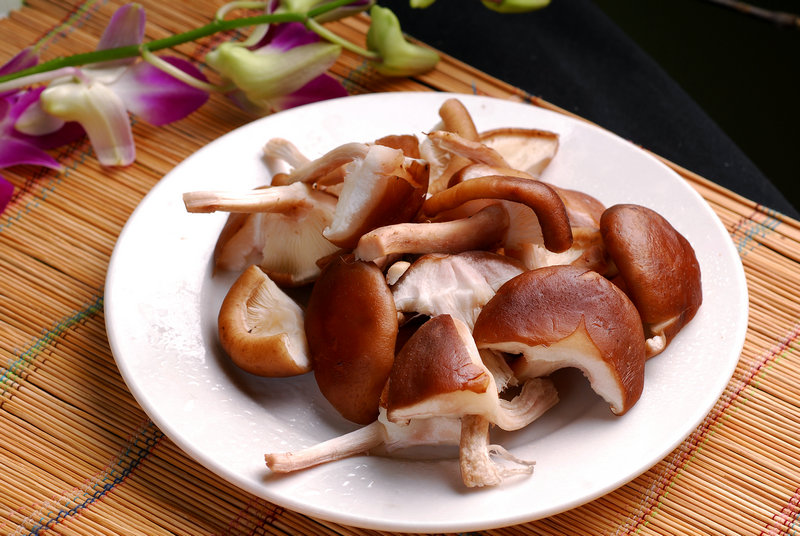 甜悦软绵蛋糕 太阳打比方