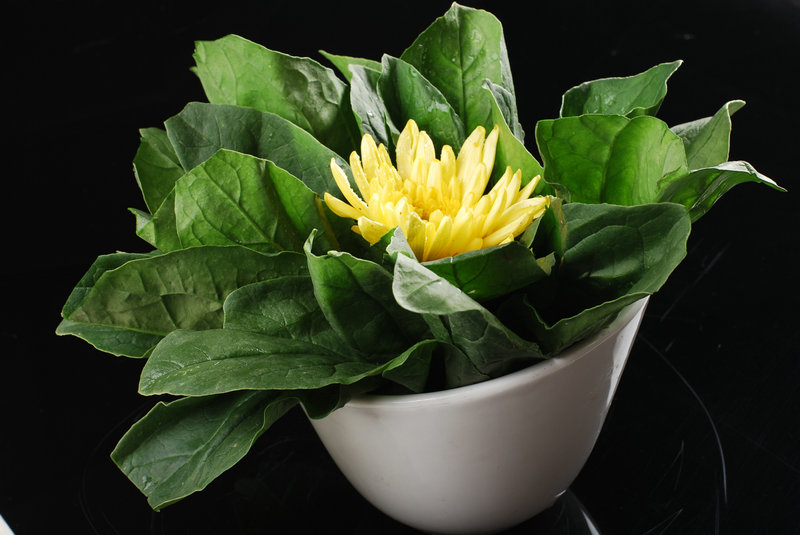 陈皮制作方法 陈皮制作方法和功效