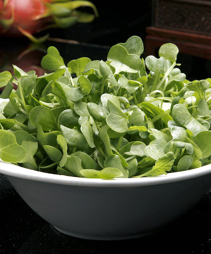 北京炸酱面的酱做法_北京炸酱面的酱的制