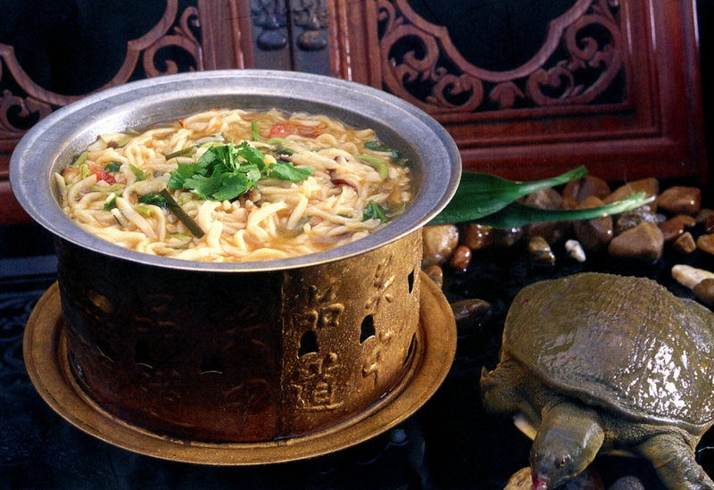 有四季豆炖牛肉吗(四季豆能炖牛肉吗)