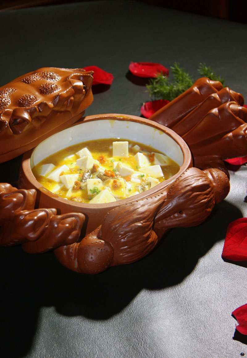 炖羊肉牛肉(炖羊肉牛肉猪肉鸡鸭肉分别放哪哪几种大料)