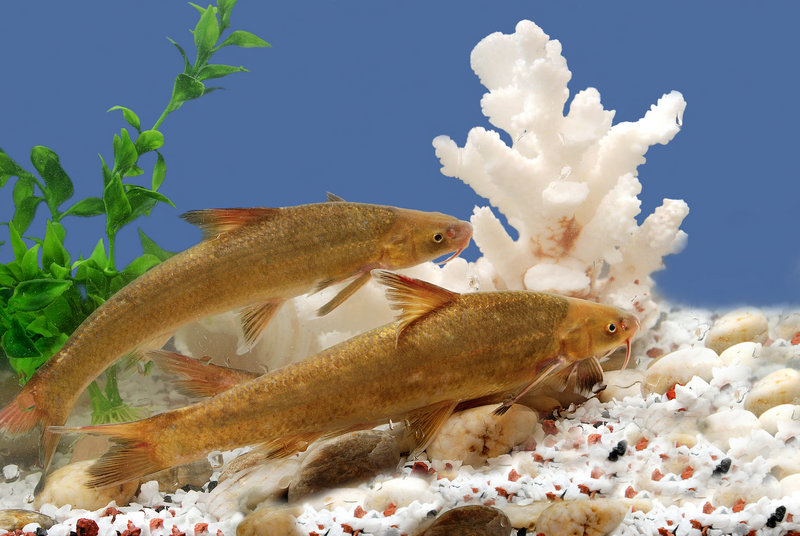 何洁的男朋友(何洁的男朋友是谁)