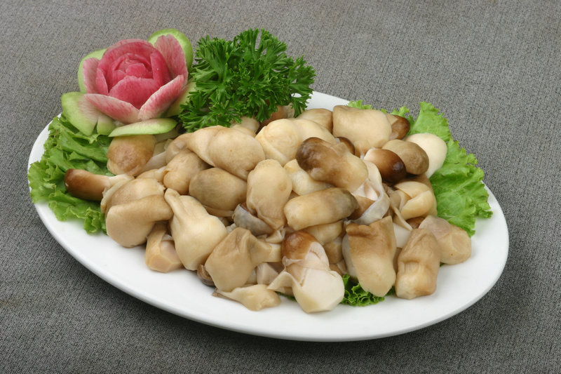 马蹄笋必须焯水吗(马蹄笋可以直接炒来吃