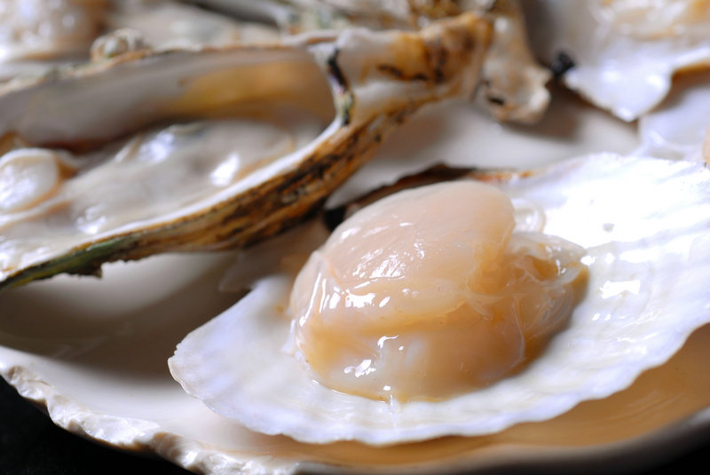 鱿鱼各个部位图解 鱿鱼各部位名称