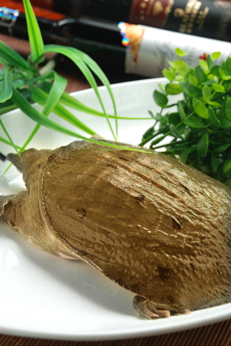 怎样做卤蛋好吃又入味